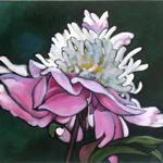 Peony, Acrylic, 22h x 28w