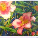 Lillies, Watercolor, 8h x 10w